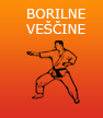 BORILNE VEŠČINE